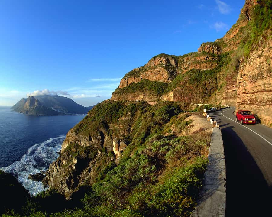 Private Cape Peninsula Half-Day Tour with Penguins - Clifton and the Twelve Apostles