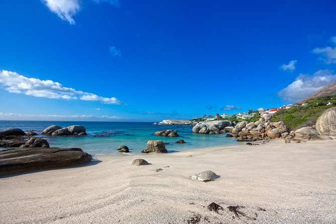 Private Cape Peninsula + Kirstenbosch Garden Full Day Guided Tour - Simon’s Town and the Boulders Beach penguins