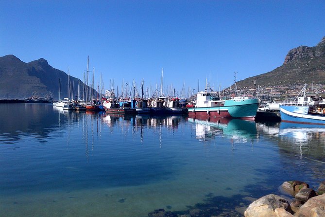 Private Cape Peninsula + Kirstenbosch Garden Full Day Guided Tour - Kirstenbosch in the final 90 minutes