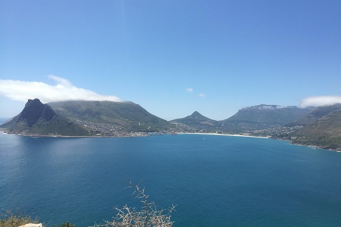 Private Cape Peninsula Tour - Cape of Good Hope and the southwestern tip