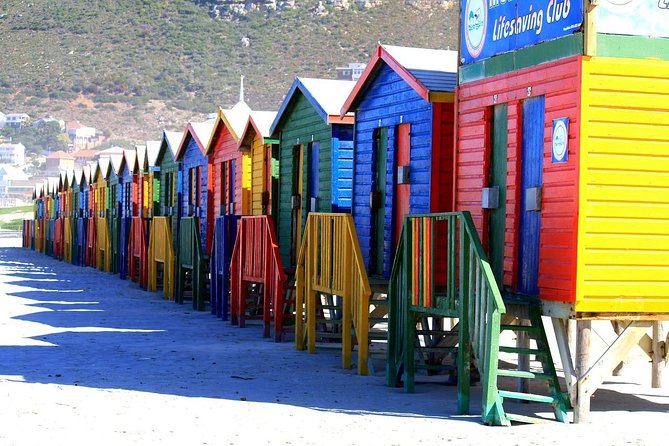 Private Cape Peninsula Tour, With Close Range Penguin Encounter From Cape Town. - Cape Point Nature Reserve deserves the longest stop