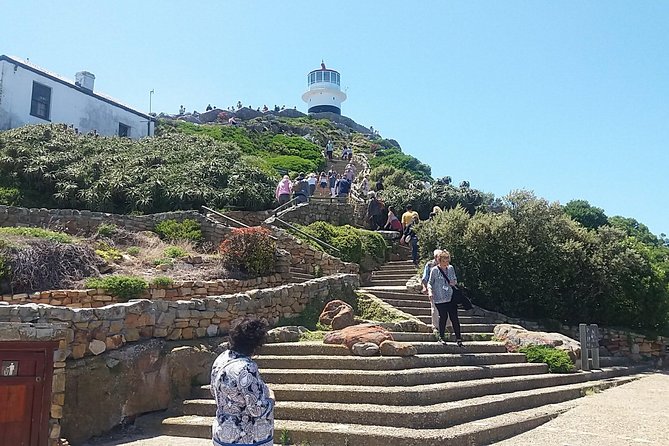 Private Cape Point Penguins Tour-Exploring the Cape Peninsula F/D - Chapman’s Peak is the scenic high point