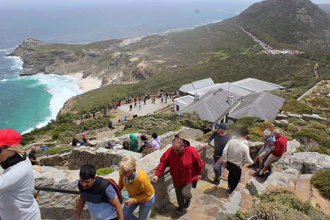 Private Cape Point Penguins Tour-Exploring the Cape Peninsula F/D - Camps Bay and the Atlantic shore