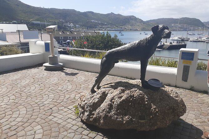 Private Cape Point / Peninsula Tour - Cape Point Nature Reserve and the Flying Dutchman