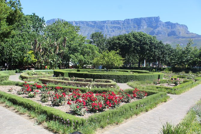 Private Cape Town City Tour Table Mountain + Cable car ticket H/D - Company’s Garden slows the pace for half an hour