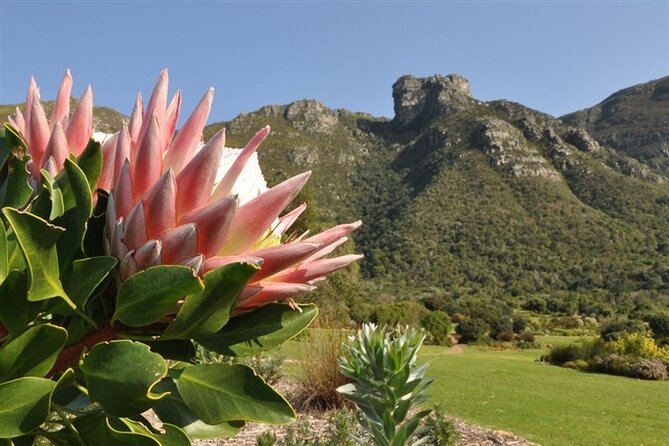 Private Cape Town City Tour table Mountain with wine tasting - Zeitz MOCAA adds modern African art
