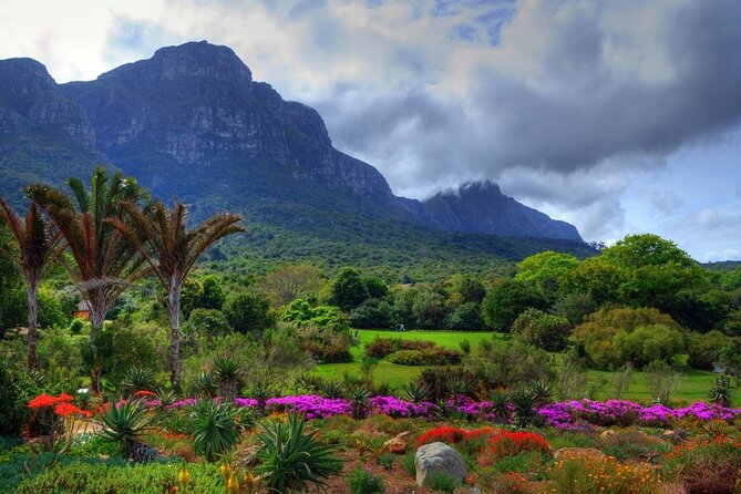Private Cape Town City Tour table Mountain with wine tasting - Maiden’s Cove is a quick Atlantic photo stop