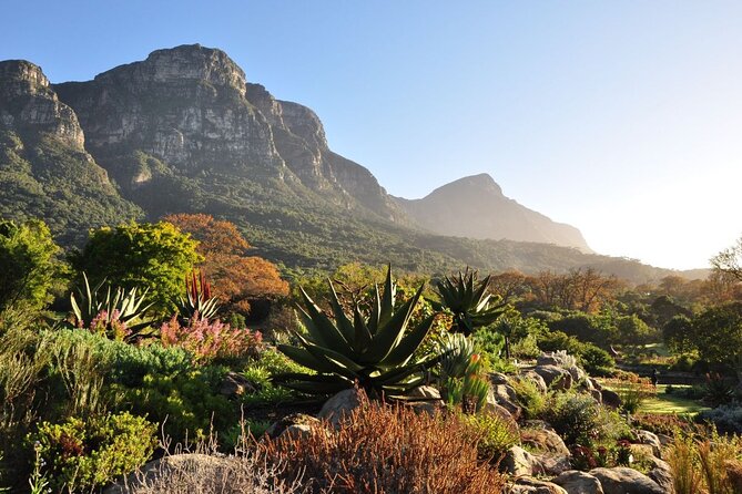 Private Cape Town City Tour table Mountain with wine tasting - World of Birds closes the sightseeing circuit