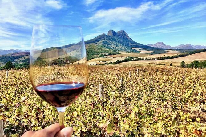 Private Cape Town City Tour table Mountain with wine tasting - Table Mountain delivers the day’s main view