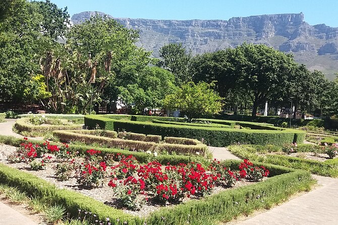 Private Cape Town Table Mountain Bo-Kaap + Cable Car Tickets H/D - Signal Hill adds a second angle on the city