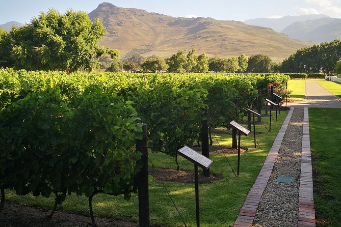 Private Cape Winelands Ful Day Ultra Flexible Guided Tour. - Key points at a glance