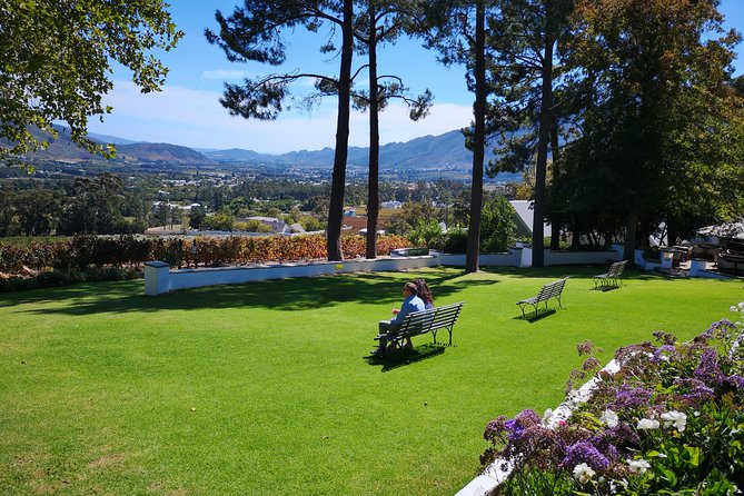 Private Cape Winelands Ful Day Ultra Flexible Guided Tour. - Franschhoek Cellar and a second wine focus