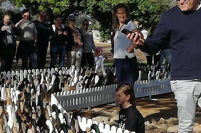 Private Cape Winelands Guided Full Day Tour from Cape Town - La Motte Wine Estate: polished and historic