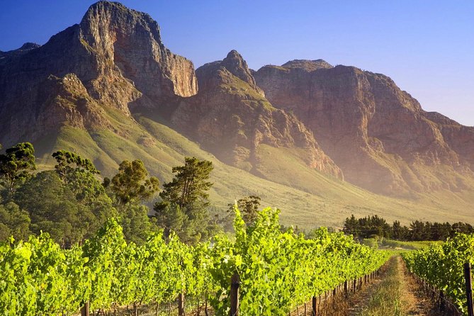 Private Cape Winelands Guided Full Day Tour from Cape Town - Delaire Graff: art, gardens, and the final view