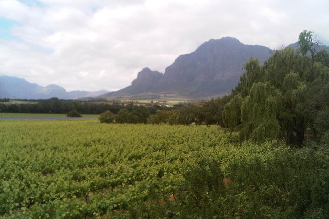 Private Cape Winelands Tour from Cape Town - Key points at a glance