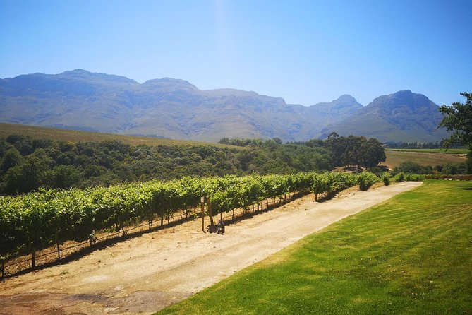 Private Cape Winelands Tour from Cape Town - Stellenbosch, old streets and a first wine tasting