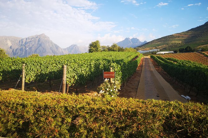 Private Cape Winelands Tour from Cape Town - Lunch at a vineyard with a valley view