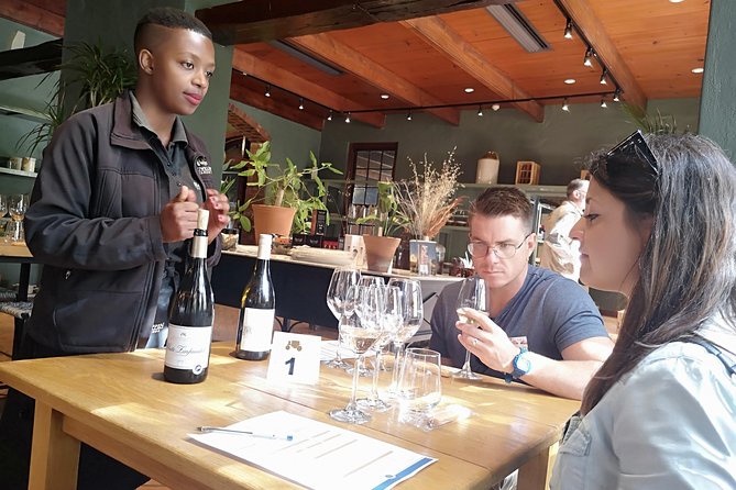 Private Cape Winelands Tour from Cape Town - Paarl, Mandela history, and Main Street