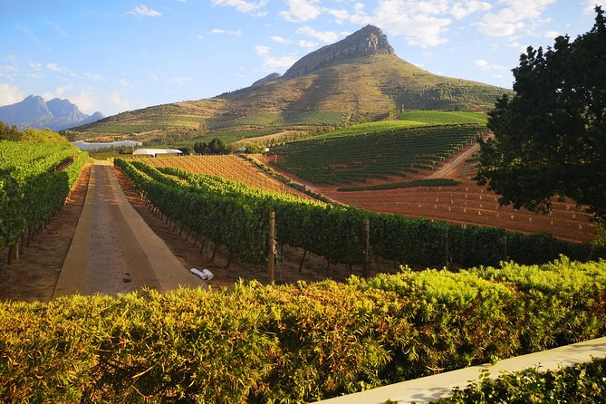 Private Cape Winelands Tour from Cape Town - The final tasting with chocolate and cheese