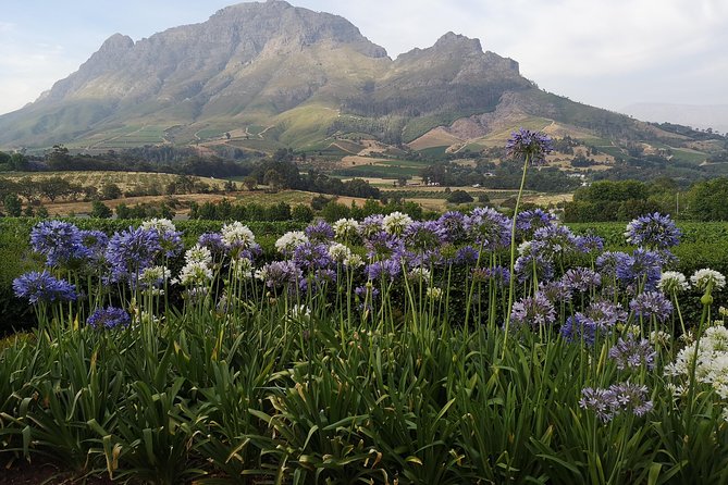 Private Cape Winelands Tour from Cape Town - Franschhoek Pass and the mountain view