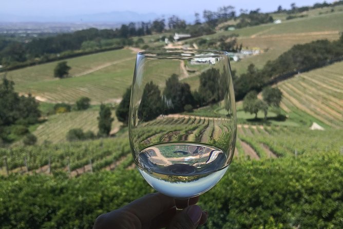 Private Cape Winelands Wine Tasting Tour - Stellenbosch finishes with wine and chocolate