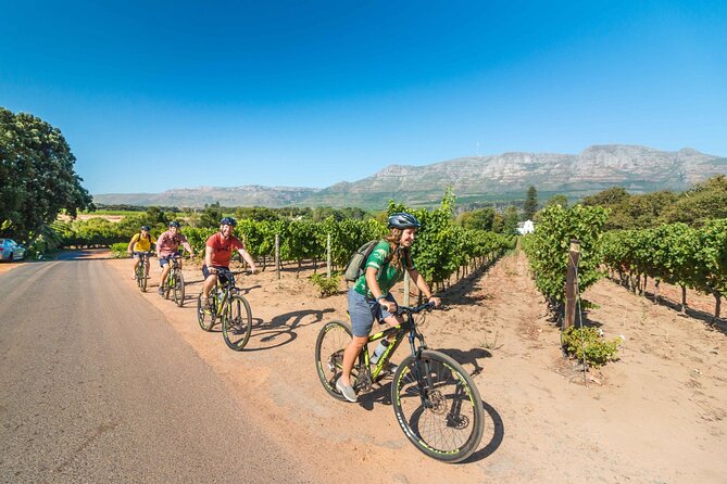 Private Cycling Tour of Constantia Winelands - Groot Constantia and the roots of South African wine
