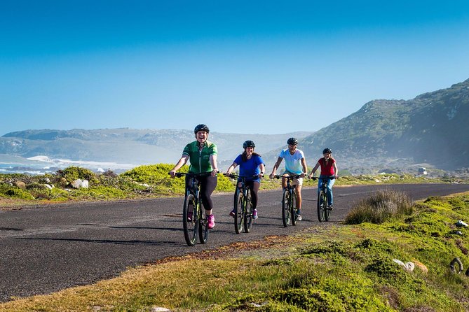 Private Cycling Tour of The Cape Peninsula from Cape Town - What the private format really changes