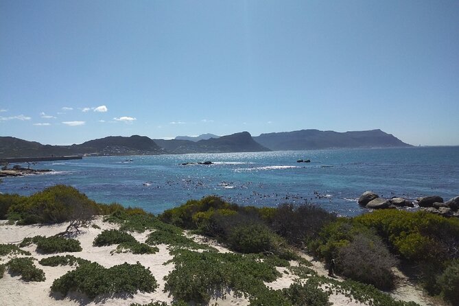 Private Day tour of the Cape. Our reviews show why people book! - Cape Point gives the day its wild edge