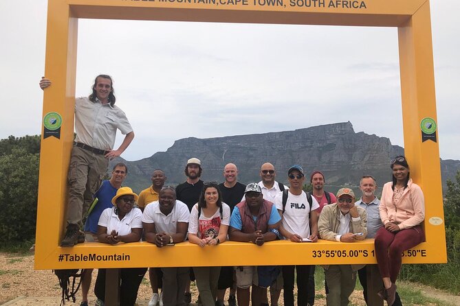 Private Day tour of the Cape. Our reviews show why people book! - Chapman’s Peak is the scenic road centerpiece