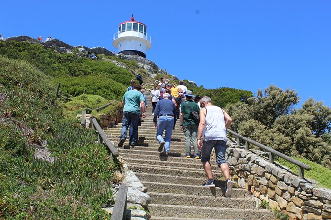 Private Day Tour to Cape of Good Hope Penguins Inc Entry Tickets from Cape Town - What this private Cape Peninsula day really covers