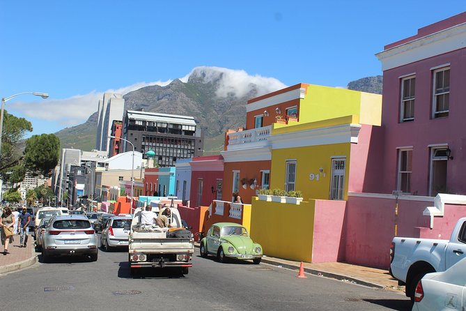 Private Day Tour to Cape of Good Hope Penguins Inc Entry Tickets from Cape Town - Cape Point Nature Reserve, the day’s main outdoor stop