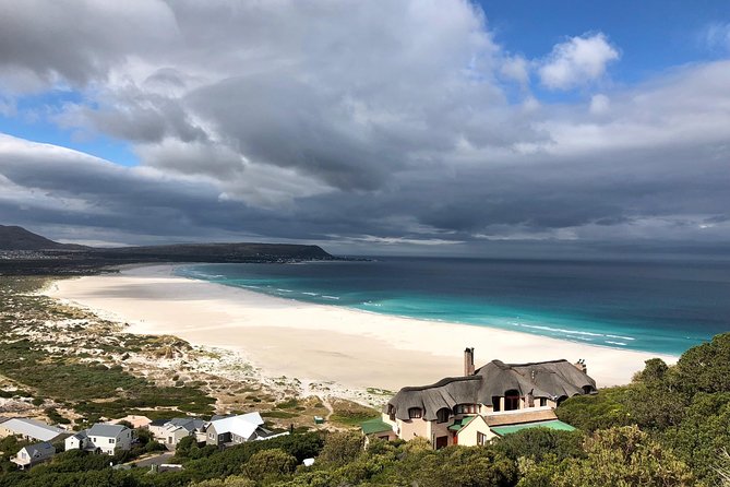 Private Day Tour to Cape Point , Penguins, Wine or Beer Tasting - Why this private Cape Peninsula day works