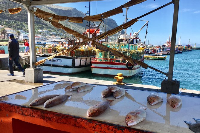 Private Day Tour to Cape Point , Penguins, Wine or Beer Tasting - Boyes Drive and the return through False Bay