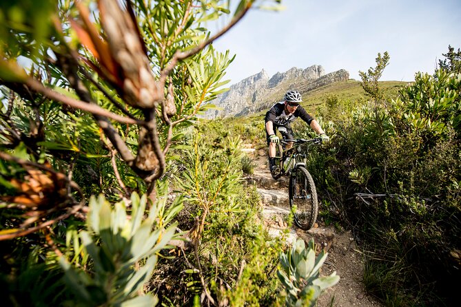 Private E-Bike Cape Town MTB Trails with a Pro - Why this Cape Town ride feels different