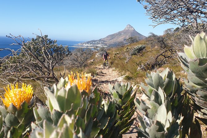 Private E-Bike Cape Town MTB Trails with a Pro - What the high-end e-bike adds