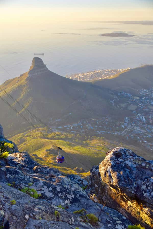 PRIVATE FULL DAY CAPE PENINSULA TOUR - One full day from city streets to Cape Point