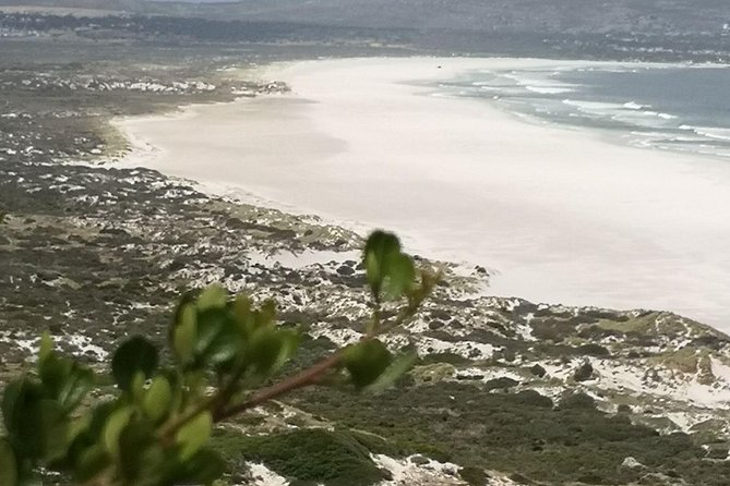 Private Full Day Cape Town City Scenic and Table Mountain Tour. - Signal Hill gives you the broad city view