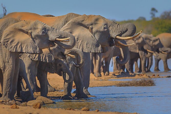 Private Full Day Safari (10 hours) in Kruger National Park - A full day in Kruger, from Phalaborwa to the Olifants River