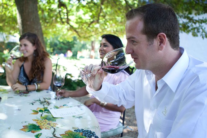 Private Full Day Stellenbosch Wine Tour with Pick Up and Drop Off - What the guide adds to the day