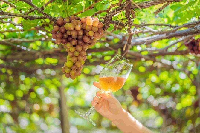 Private Full Day Wine Tour in Cape Town - What the private vehicle and guide add