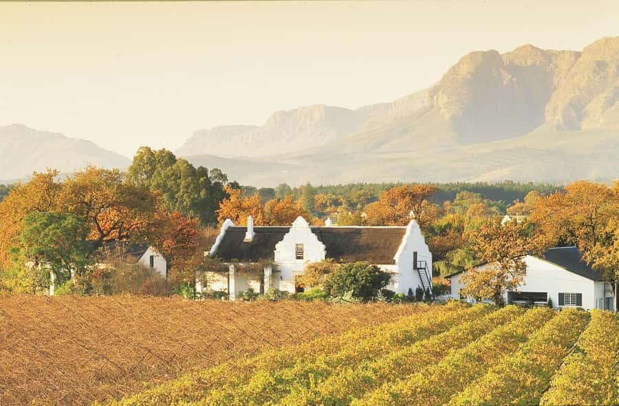 Private Full-Day Winelands Tour in Stellenbosch - Starting in Stellenbosch with history and wine