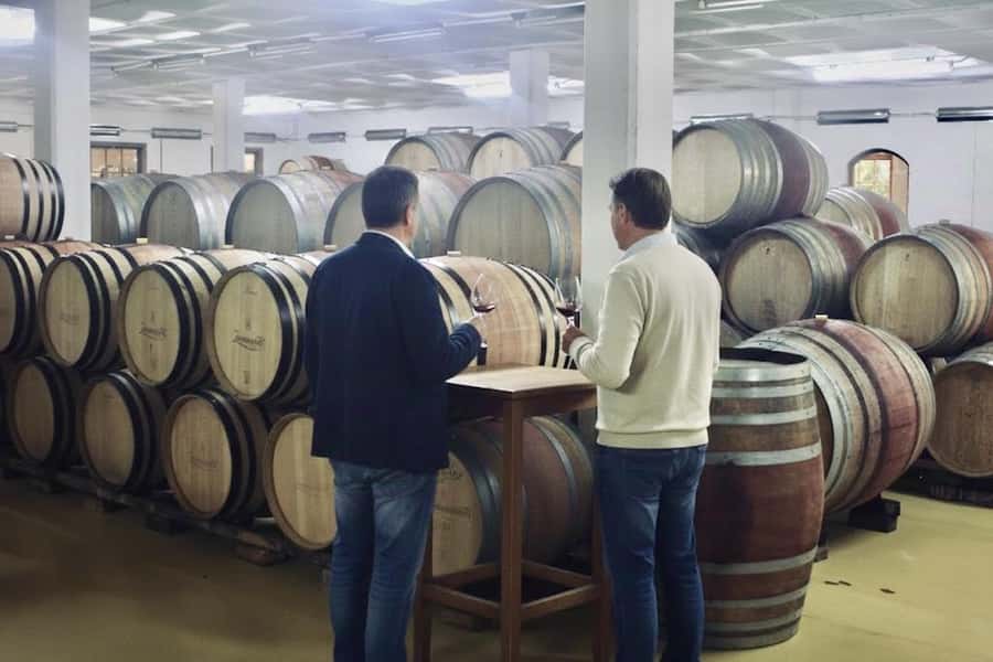 Private Full-Day Winelands Tour in Stellenbosch - Who should book this tour?