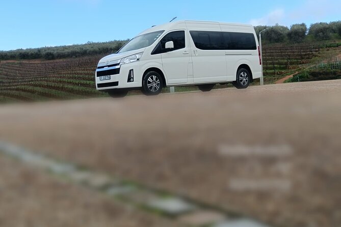 Private Group 4-13 passengers Cape Town Airport Transfers - Meeting your driver inside the arrivals hall