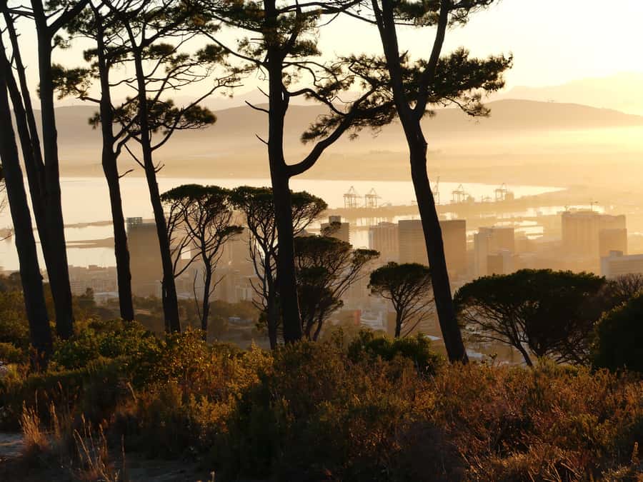 Private Guided Half-Day City Tour with Table Mountain - Key points at a glance