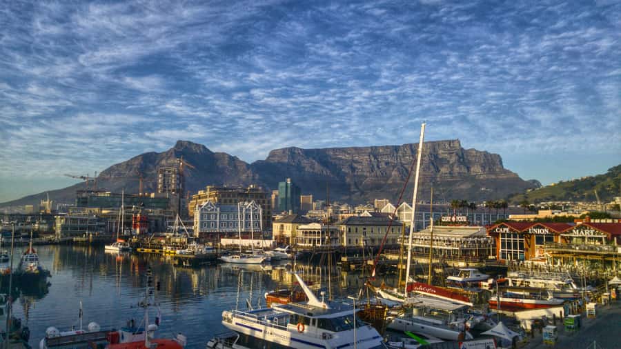Private Guided Half-Day City Tour with Table Mountain - Company Gardens and the South African Museum