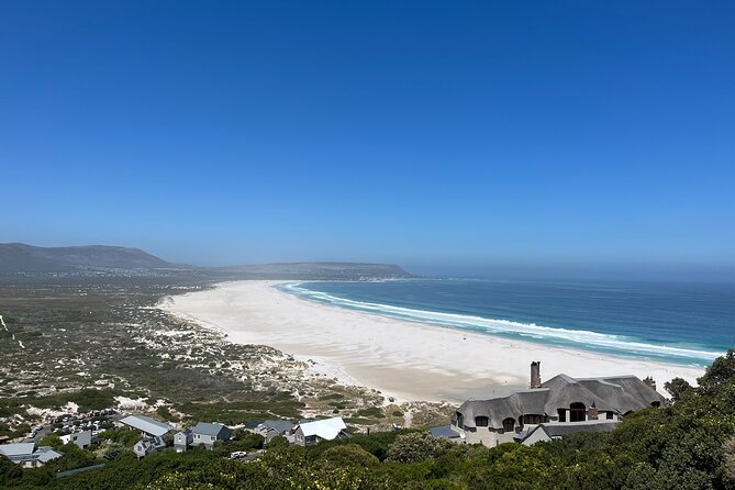 Private Guided Tour in Cape of Good Hope and Table Mountain - Maiden’s Cove delivers the classic Camps Bay photograph