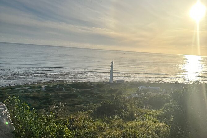 Private Guided Tour in Cape of Good Hope and Table Mountain - Boulders Beach is the wildlife stop