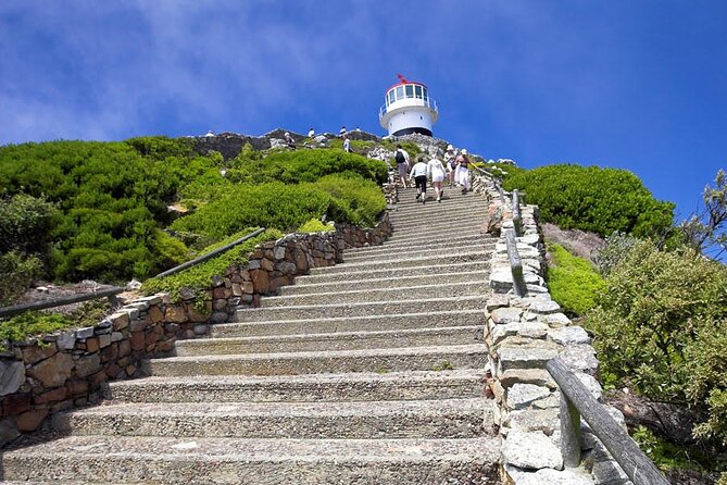 Private Guided Tour to Table Mountain and Cape Point with Penguin - Simon’s Town and the story of Just Nuisance
