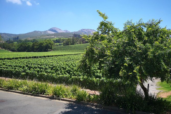 Private Half DayTour:Cape Winelands, Stellenbosch from Cape Town - Practical details that affect your day
