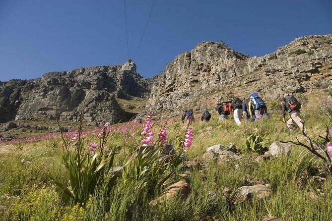 Private Hiking Tour of Table Mountain - A 7:00 am start gives you a useful head start